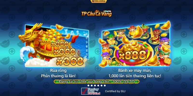 Câu cá vàng và thông tin về loại hình